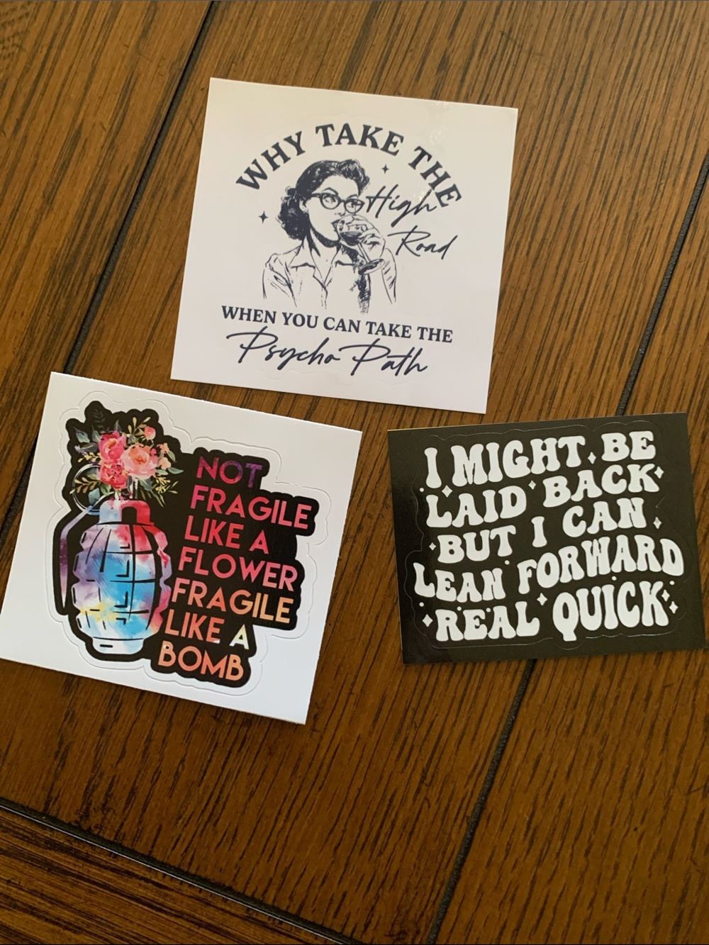 Set of 3 Snarky Humorous Vinyl Stickers